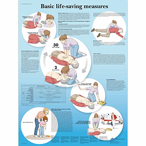 3b-scientific-lehrtafel-basic-life-support-englisch-50x67-cm image 3