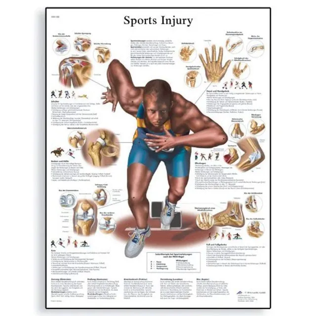 3b-scientific-vr1188uu-anatomie-sportverletzungen-lehrtafel-gedruckt image 1
