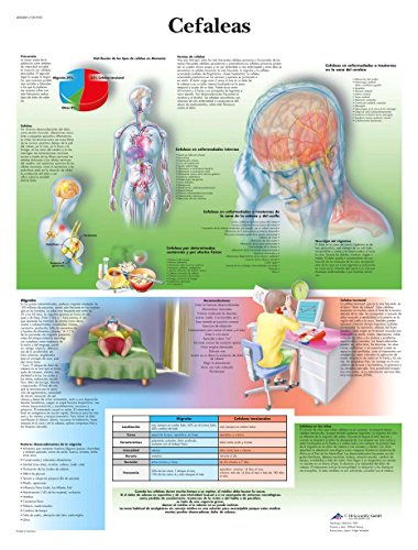 3b-scientific-lehrtafel-kopfschmerzen-anatomie-poster-papier image 2