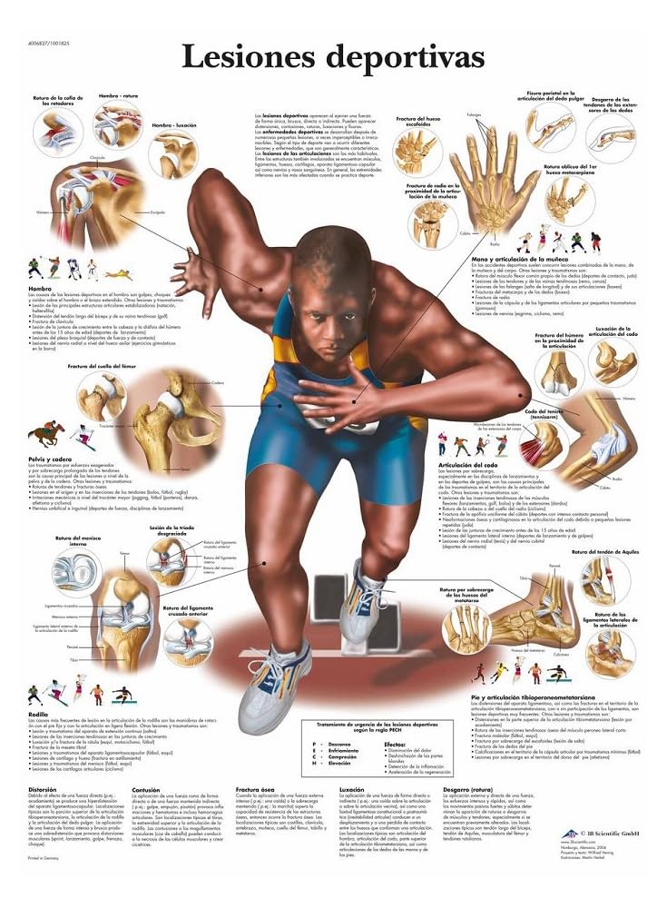 3b-scientific-sportverletzungen-tafel-laminiertes-anatomieposter-50x67-cm image 1