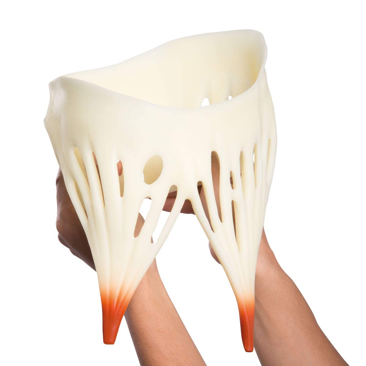 3b-scientific-riesen-herzmodell-8-fach-vergr-ert-zerlegbar-pvc-smart-anatomy-app image 4