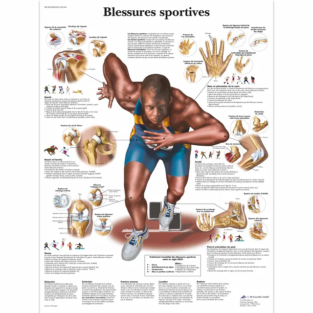3b-scientific-laminierte-tafel-sportverletzungen-anatomieposter-50-x-67-cm-uv-st image 1