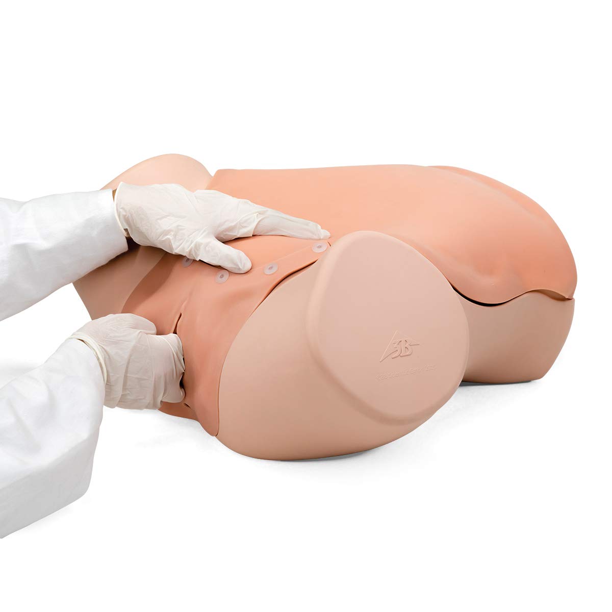 3b-scientific-gyn-kologietrainer-p91-simulator image 2