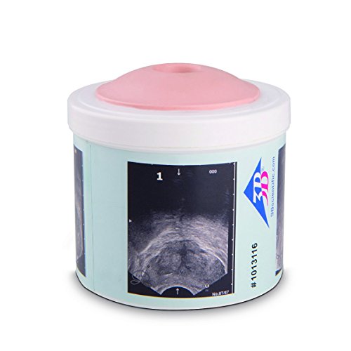 3b-scientific-p58-1-prostata-tastmodell-mit-4-stadien-dre-trainer image 2