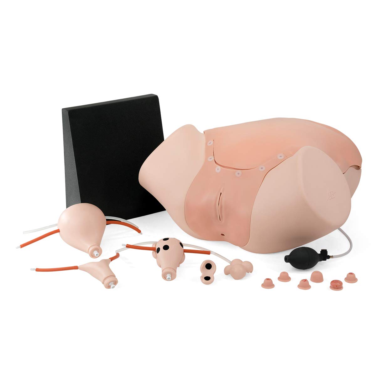 3b-scientific-gyn-kologietrainer-p91-simulator image 1