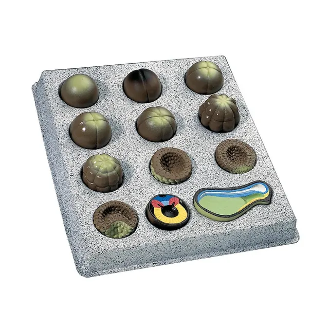 3b-scientific-embryonalentwicklung-grasfrosch-rana-temporaria-12-teilig-biologie image 1