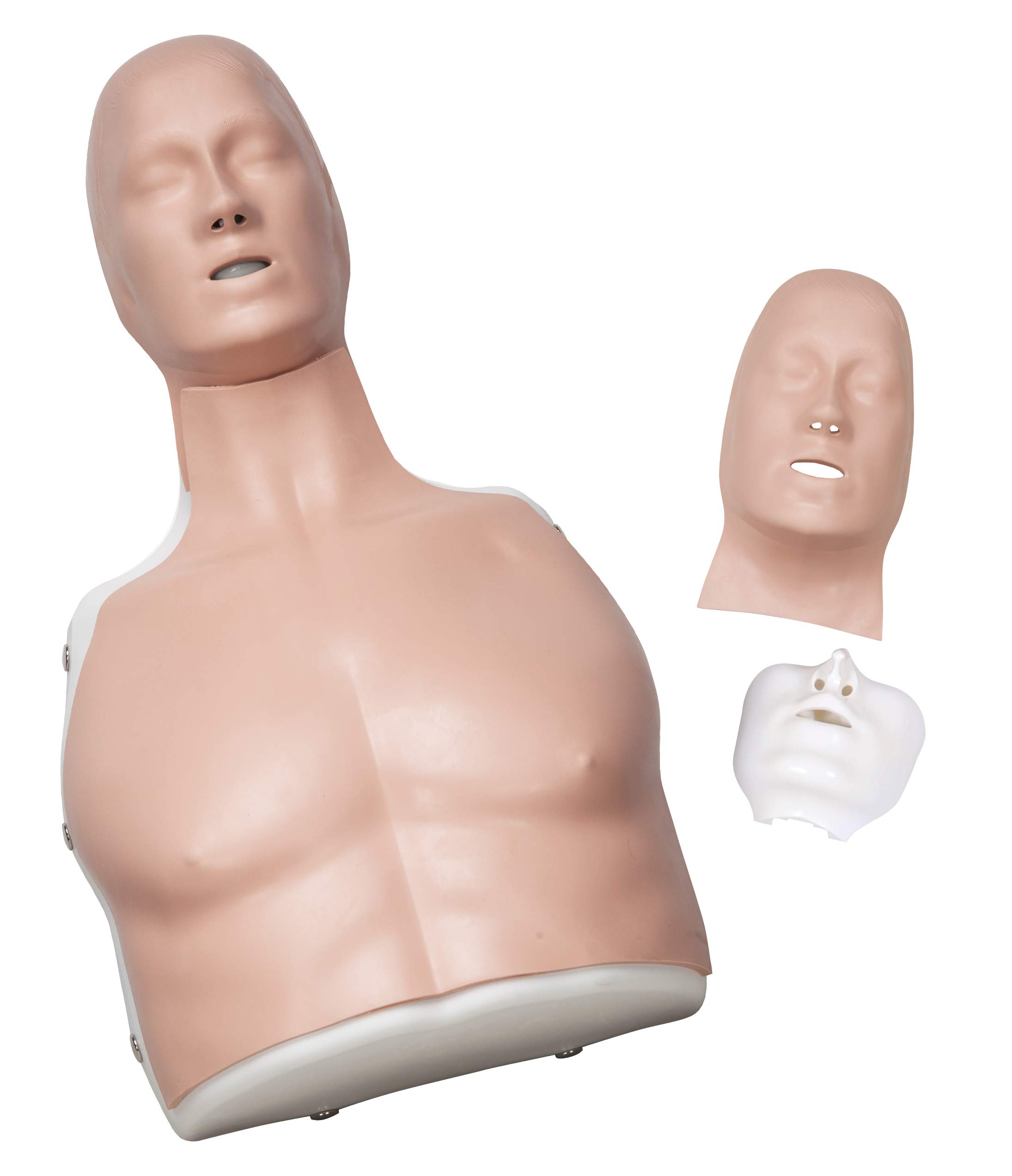 3b-scientific-basic-billy-bls-simulator-hellh-utig-wiederbelebungs-trainingspupp image 2