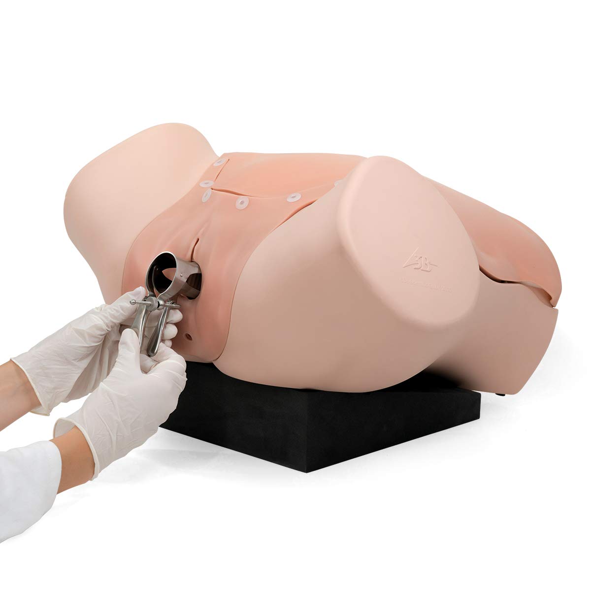 3b-scientific-gyn-kologietrainer-p91-simulator image 4