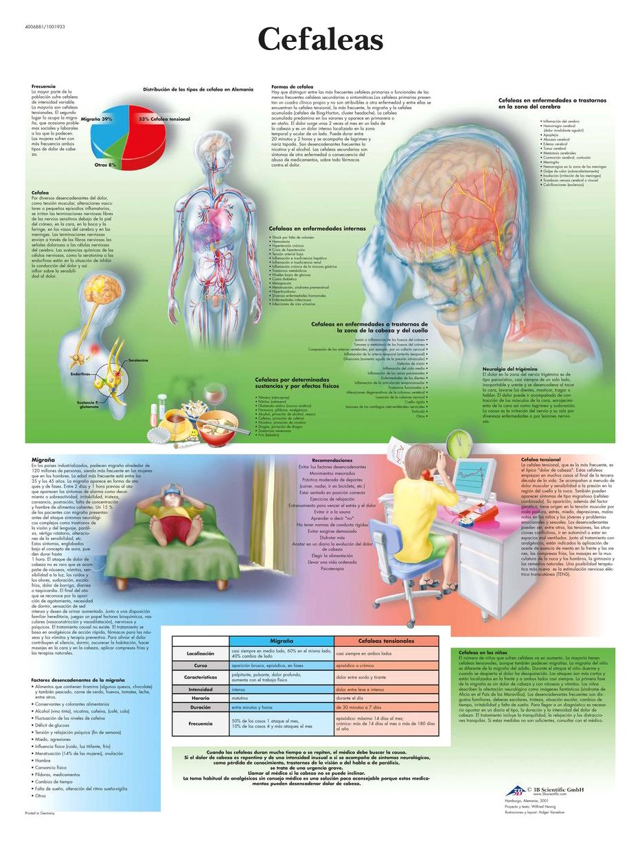 3b-scientific-lehrtafel-kopfschmerzen-anatomie-poster-papier image 1