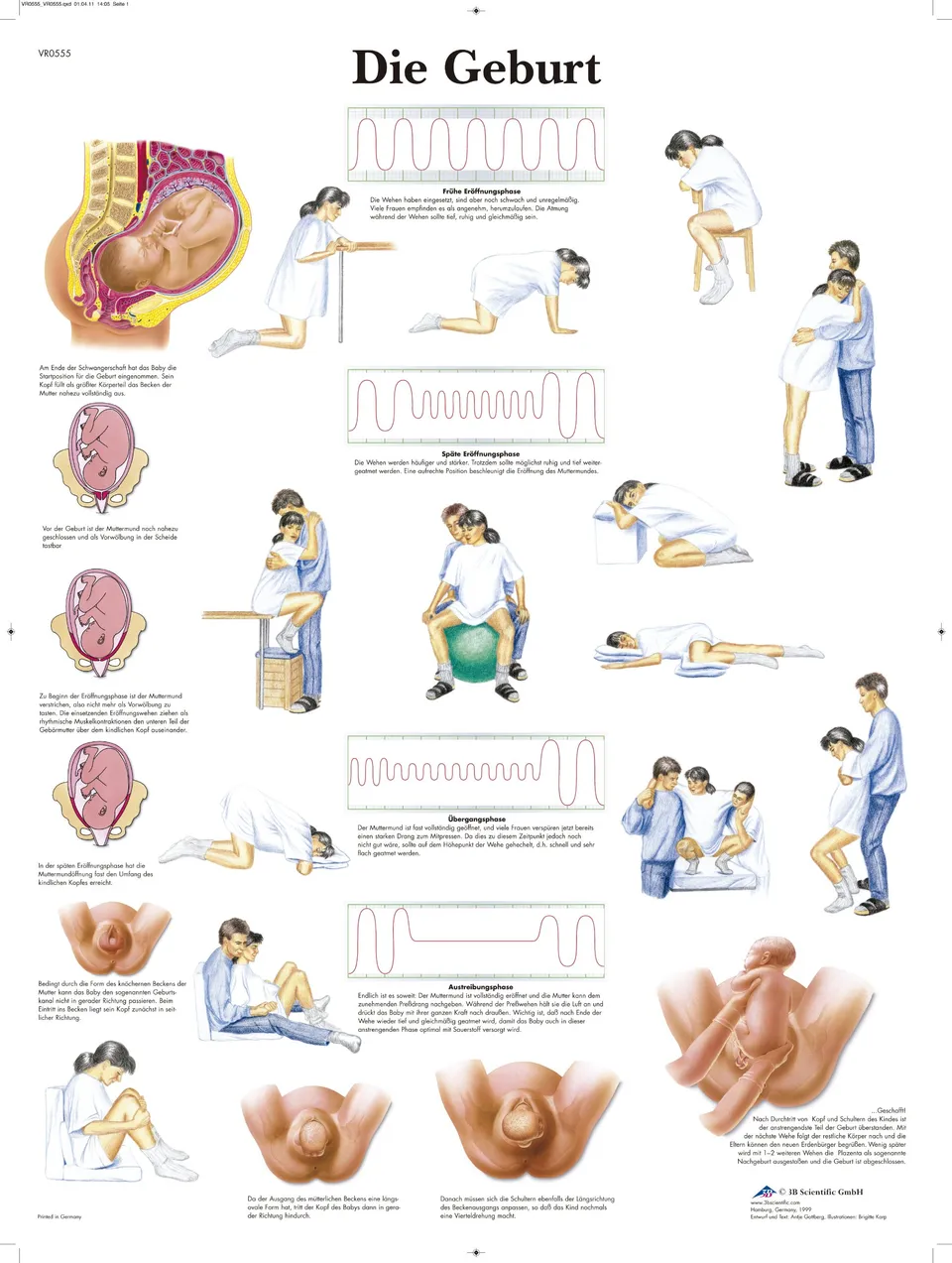 3b-scientific-lehrtafel-laminiert-die-geburt-anatomie-poster-50x67-cm image 1