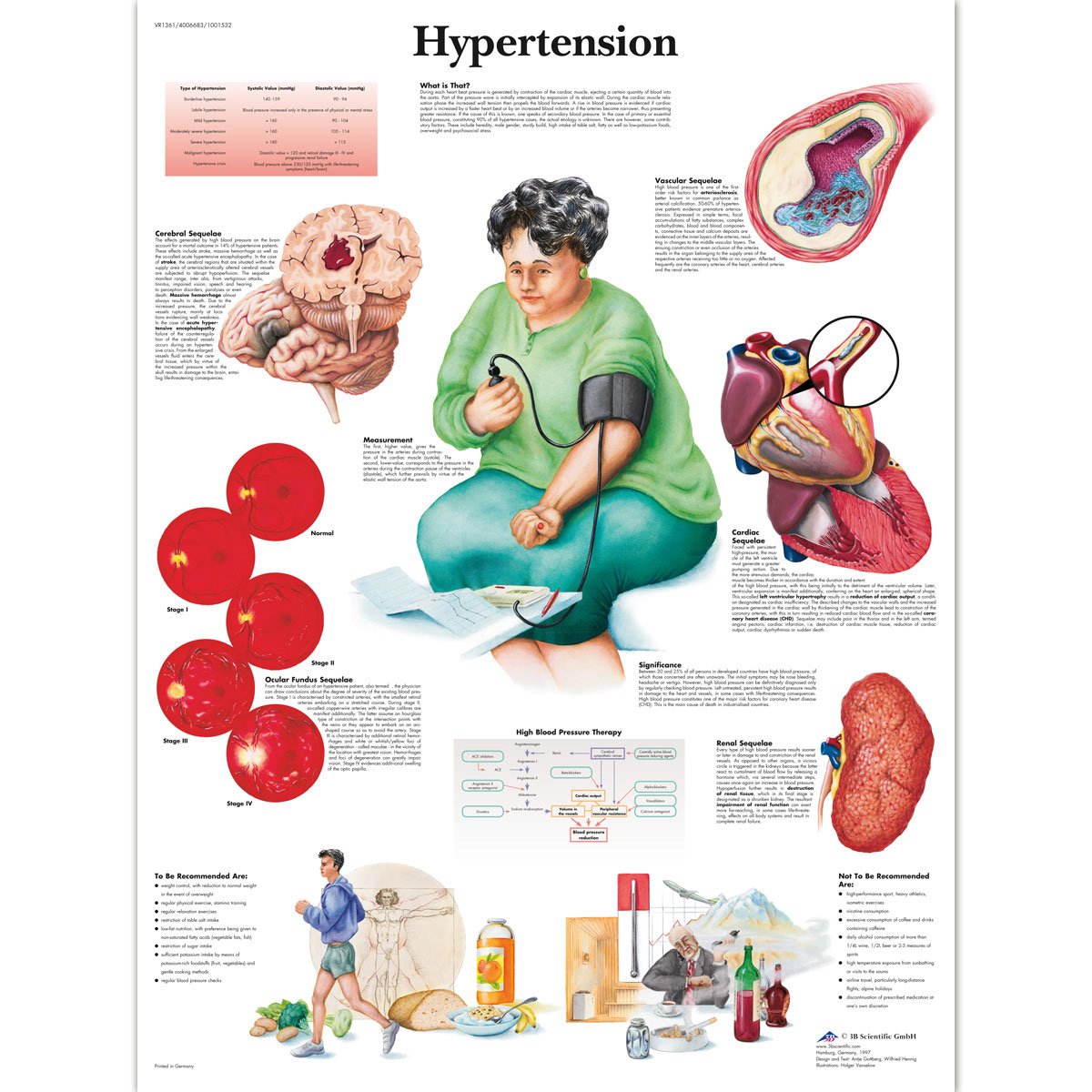 3b-scientific-hypertonie-diagramm-papier-50-x-67-cm-anatomie-lehrtafel-bluthochd image 3