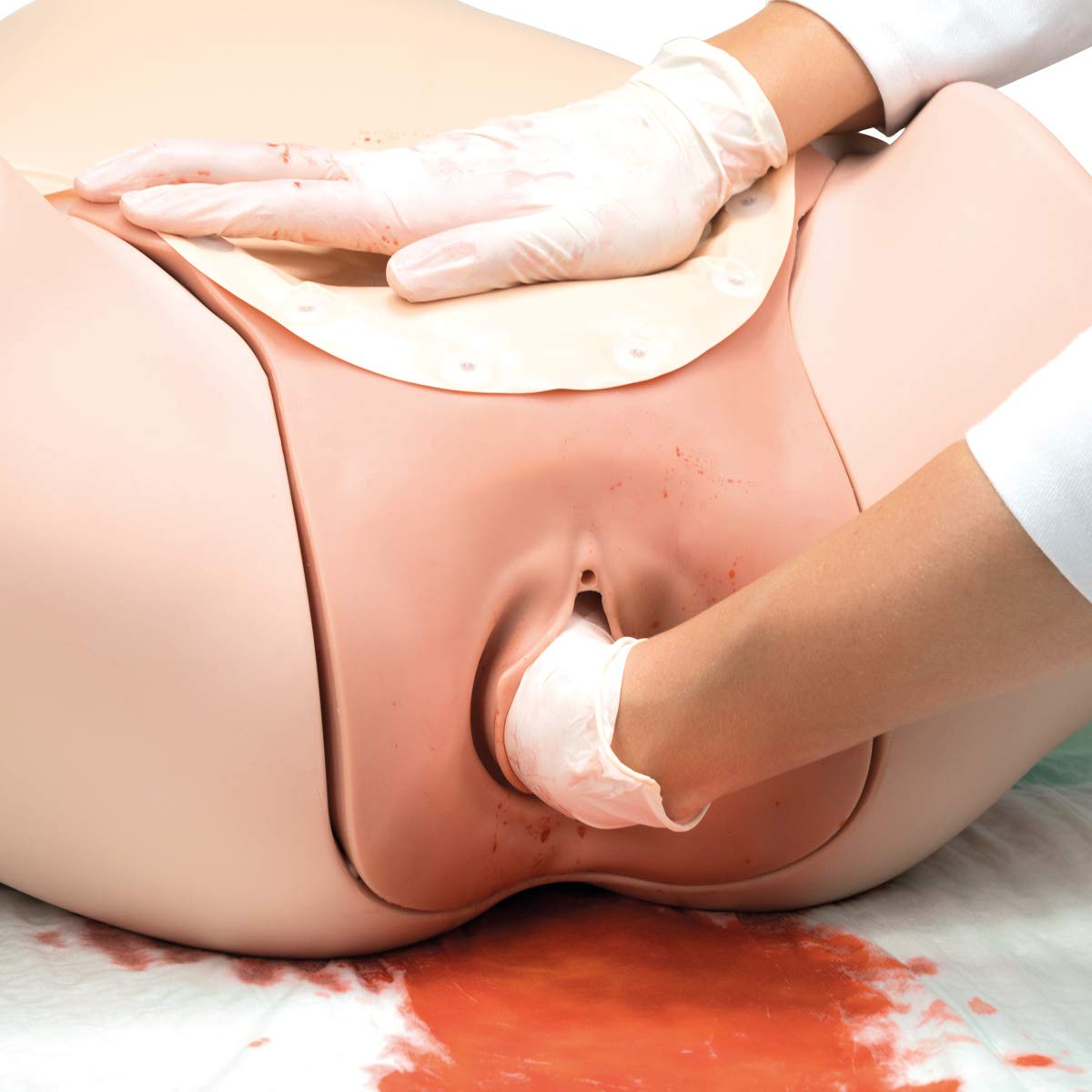 3b-scientific-postpartum-hemorrhage-trainer-p97-pph-trainer image 6