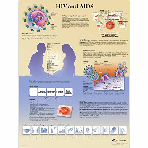 3b-scientific-lehrtafel-hiv-and-aids-laminiertes-poster-50-x-67-cm-englisch image 4