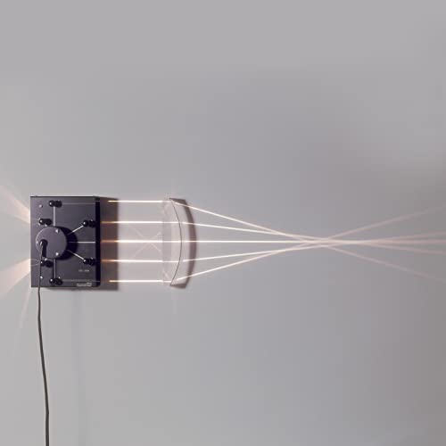 3b-scientific-halbkreisk-rper-u15518-f-200-mm-200-mm image 4