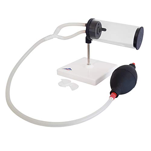 3b-scientific-rauchermodell-3-in-1-lungenmodell-rauchen-passivrauchen image 4