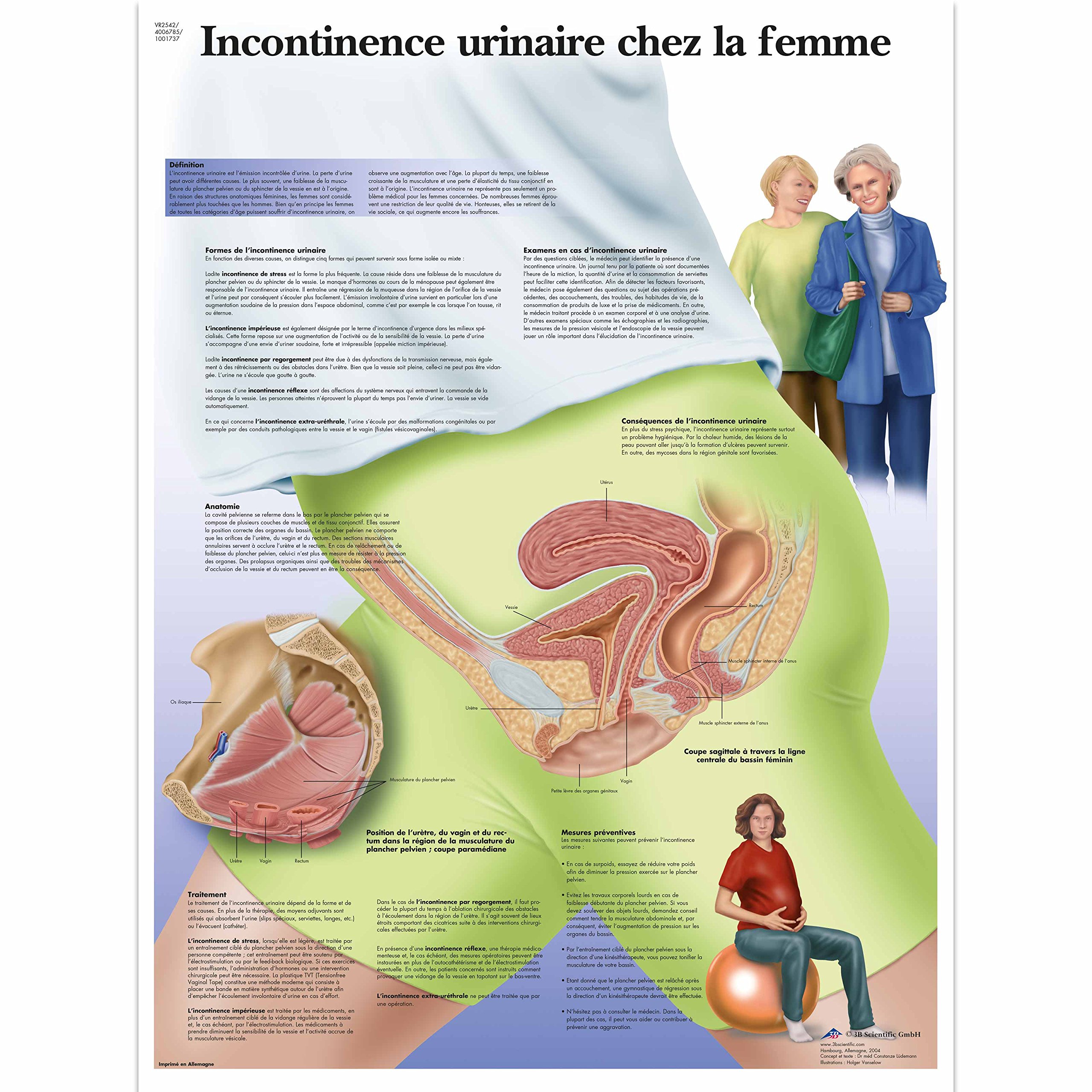 3b-scientific-laminierte-tafel-sportverletzungen-anatomieposter-50-x-67-cm-uv-st image 2