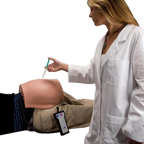 3b-scientific-injektionssimulator-ges-intramuskul-rer-i-m-trainer image 5