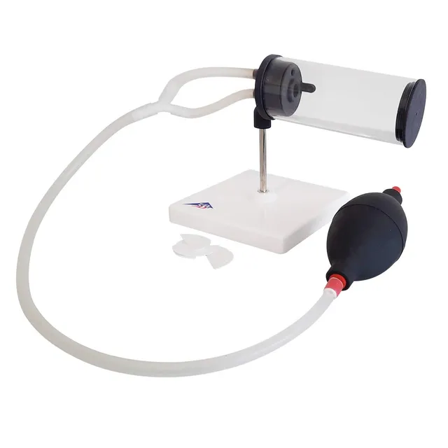 3b-scientific-rauchermodell-3-in-1-lungenmodell-rauchen-passivrauchen image 1