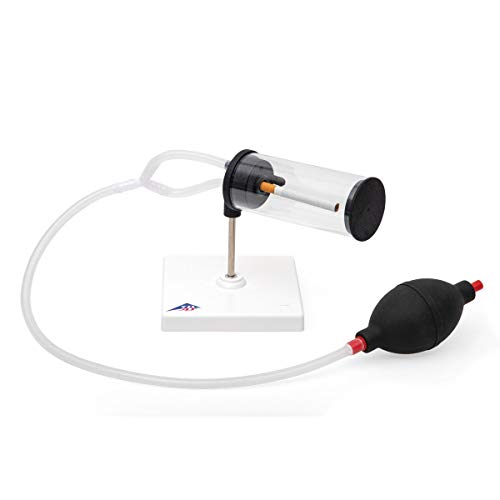 3b-scientific-rauchermodell-3-in-1-lungenmodell-rauchen-passivrauchen image 5