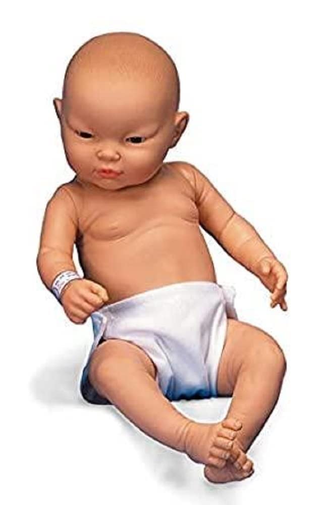 3b-scientific-w17001-babypflegemodell-weiblich-kaukasisch-50-cm image 3