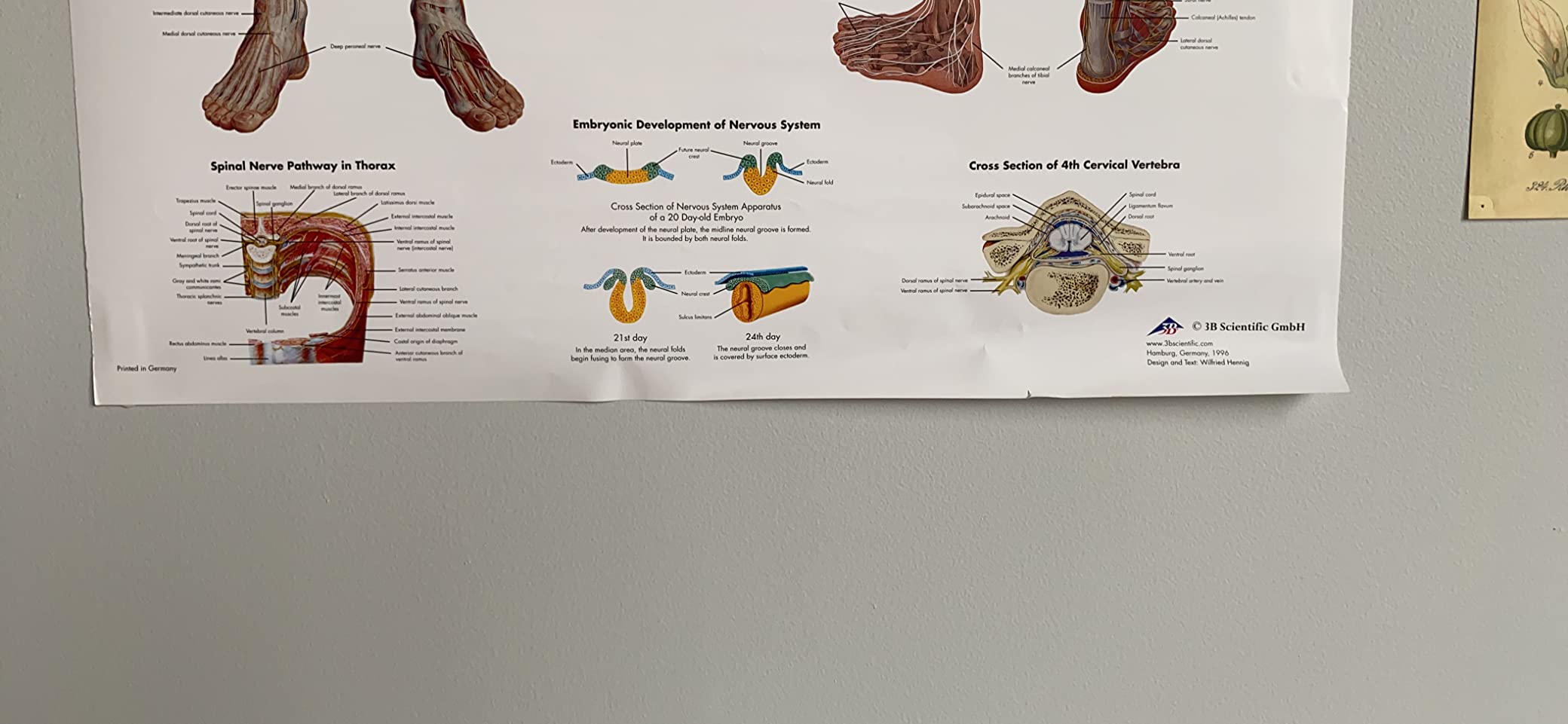 Perfekt fürs Physikum