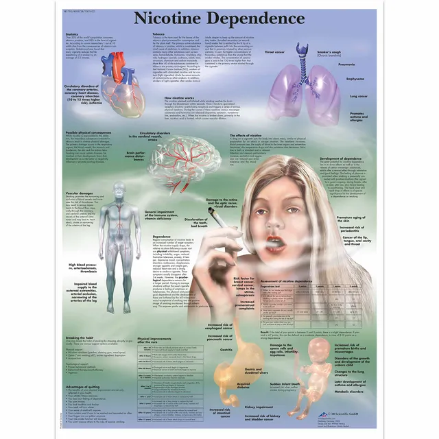 3b-scientific-nikotinabh-ngigkeit-lehrtafel-papierposter-50-x-67-cm image 1