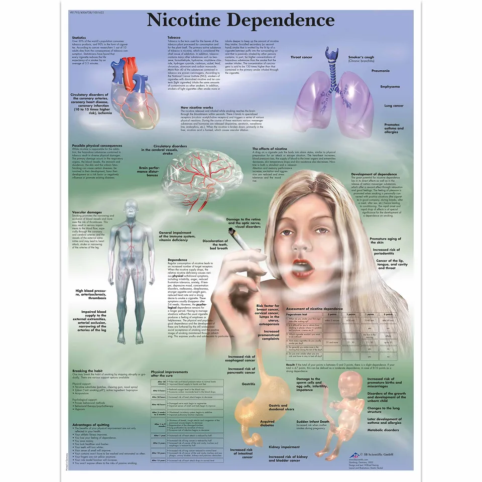 3b-scientific-nikotinabh-ngigkeit-lehrtafel-papierposter-50-x-67-cm image 1