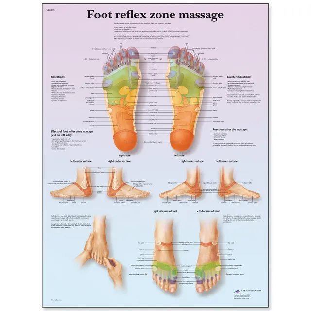 3b-scientific-fu-reflexzonenmassage-vr1810l-laminierte-lehrtafel image 1