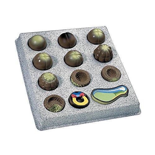 3b-scientific-embryonalentwicklung-grasfrosch-rana-temporaria-12-teilig-biologie image 2