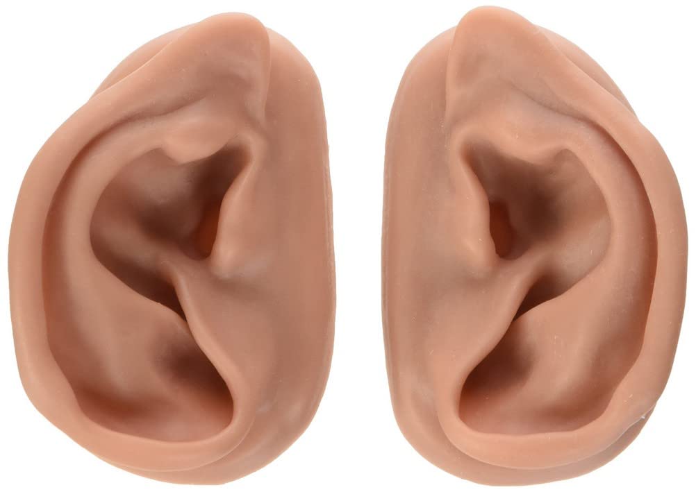 3b-scientific-n15-akupunktur-ohrset-links-und-rechts-mit-seirin-nadeln image 2