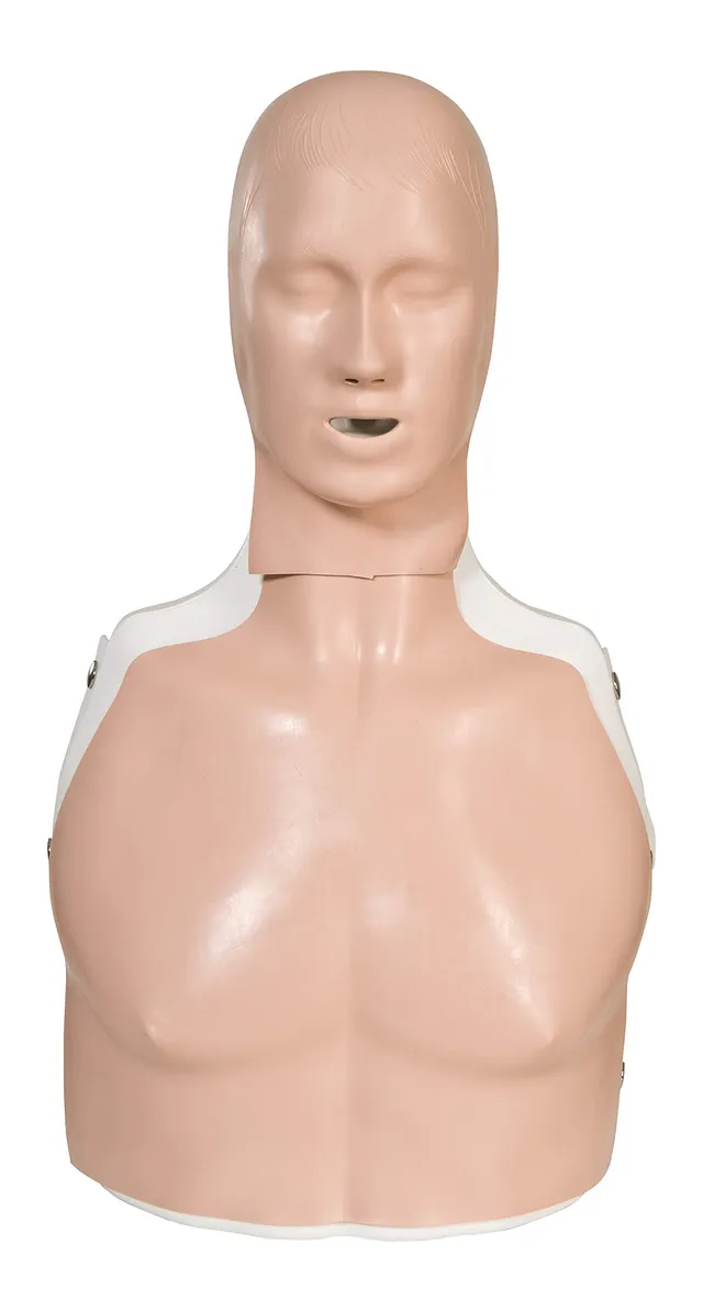 3b-scientific-basic-billy-bls-simulator-hellh-utig-wiederbelebungs-trainingspupp image 1