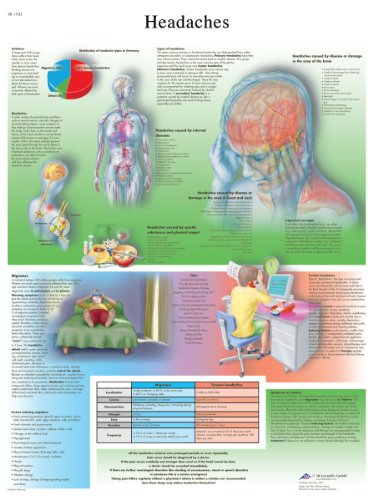 3b-scientific-chart-kopfschmerzen-anatomie-poster-50x67-cm-papierversion image 4