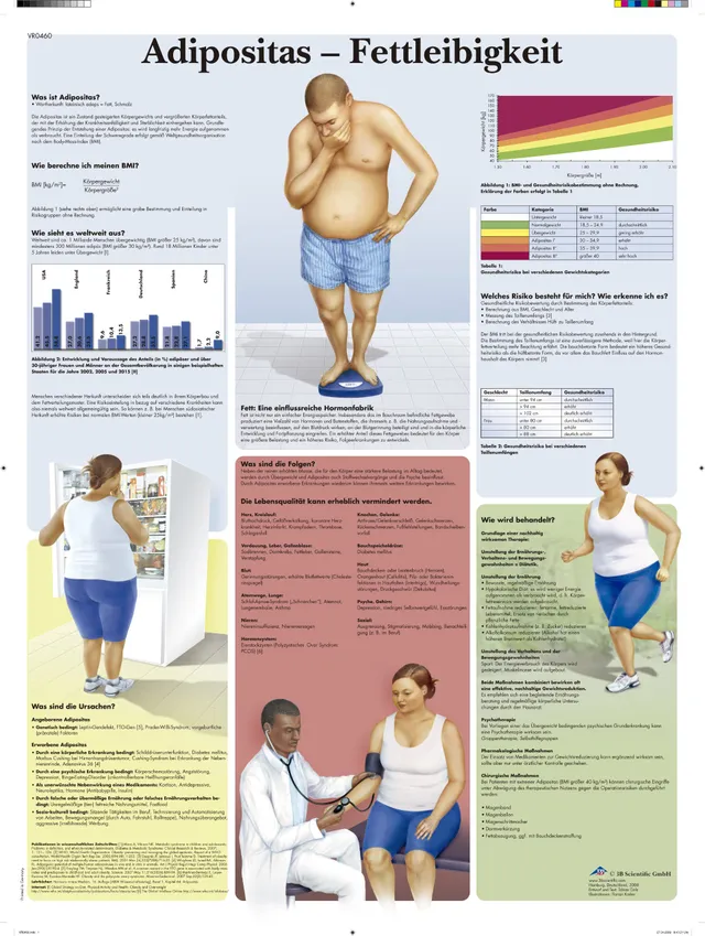 3b-scientific-lehrtafel-adipositas-fettleibigkeit-poster-50-x-67-cm image 1