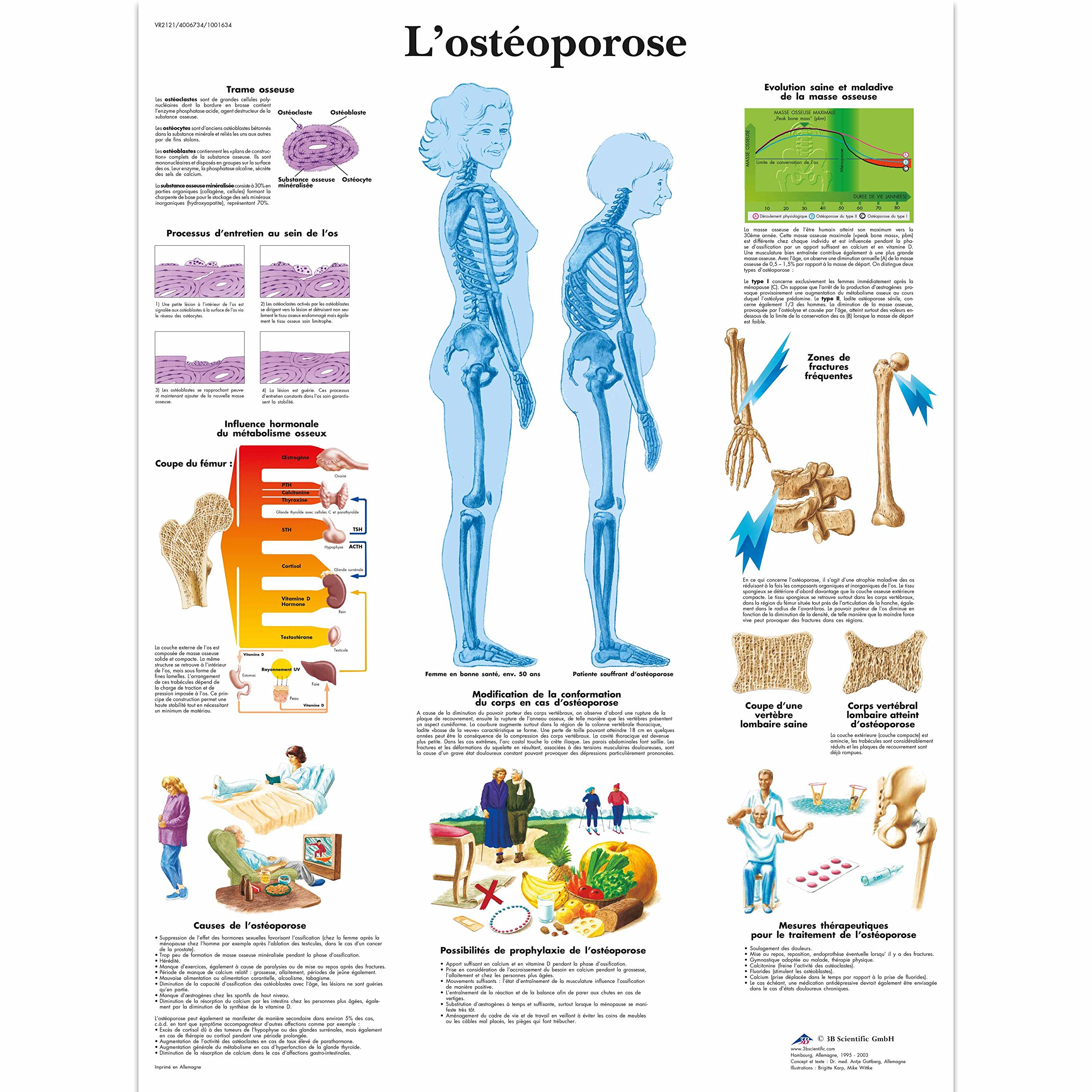 3b-scientific-laminierte-tafel-sportverletzungen-anatomieposter-50-x-67-cm-uv-st image 3