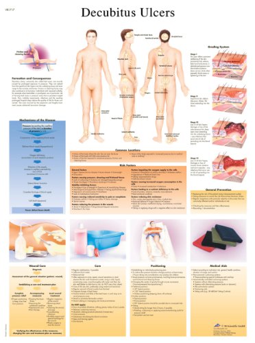 3b-scientific-lehrtafel-dekubitusgeschw-re-laminiertes-pathologie-poster-50-x-67 image 3