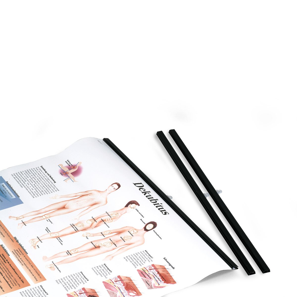 3b-scientific-vr999b-best-bung-f-r-lehrtafel-schwarz-paar-50-cm-2er-pack image 1