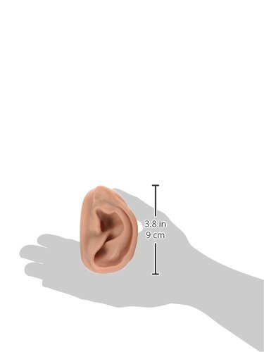 3b-scientific-n15-1r-akupunkturmodell-rechtes-ohr image 3