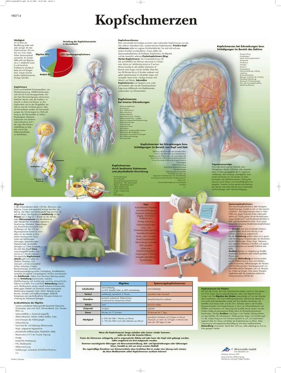 3b-scientific-lehrtafel-laminiert-kopfschmerzen-anatomie-poster-50x67-cm image 1