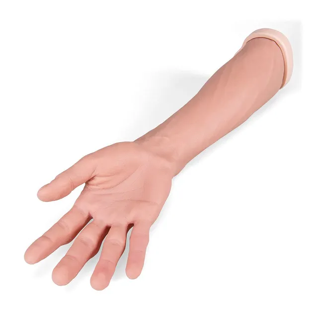 3b-scientific-p101-nahtarm-trainer-mit-beweglichen-fingern-nahttrainer image 1