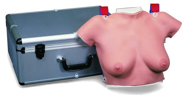 3b-scientific-brust-tastmodell-zum-umh-ngen-palpations-trainer-f-r-selbstuntersu image 1