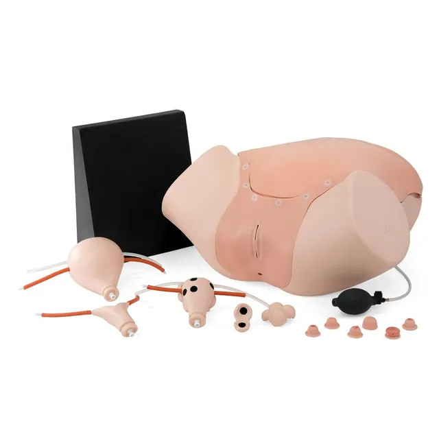 3b-scientific-gyn-kologietrainer-p91-simulator image 1