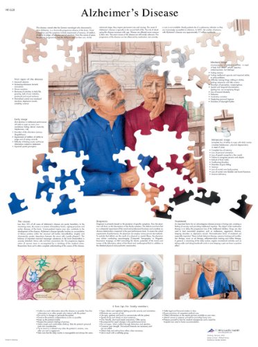 3b-scientific-alzheimer-krankheit-laminierte-anatomie-lehrtafel-50-x-67-cm image 3
