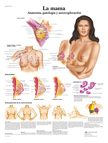 3b-scientific-lehrtafel-lactancia-materna-laminiert-spanisch-50x67cm image 3