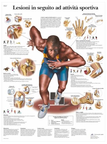 3b-scientific-anatomietafel-sportverletzungen-italienisch-50x67-cm-papier image 4