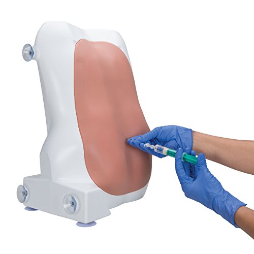 3b-scientific-geriatrisches-lor-kit-2er-set-f-r-epidural-und-spinaltrainer-p61 image 4