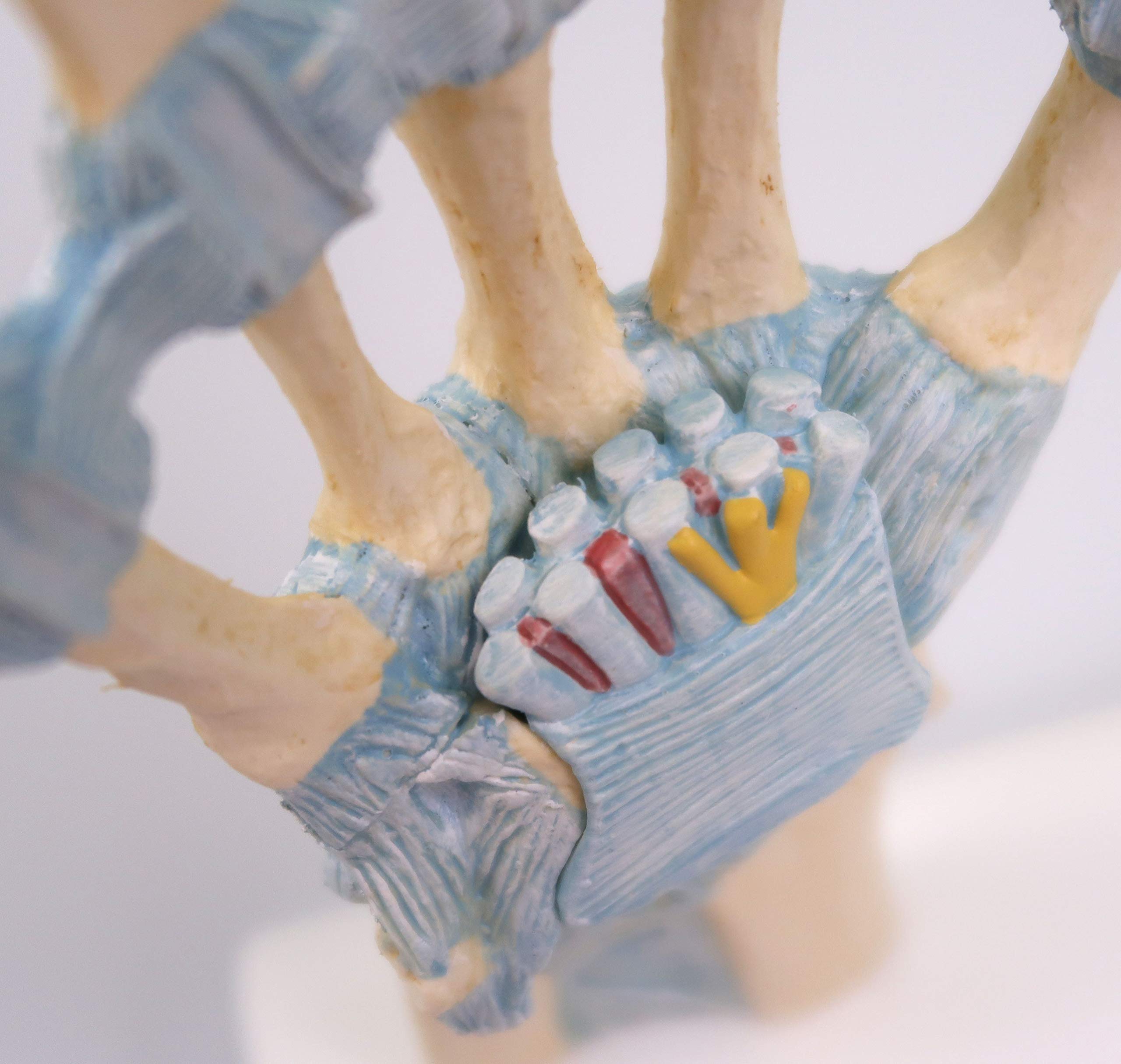3b-scientific-handskelett-modell-handknochen-mit-b-ndern-karpaltunnel-smart-anat image 7