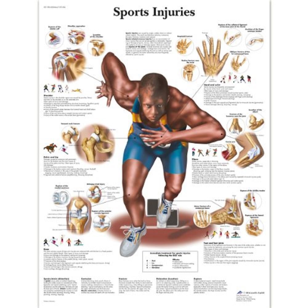 3b-scientific-vr1188uu-anatomie-sportverletzungen-lehrtafel-gedruckt image 3