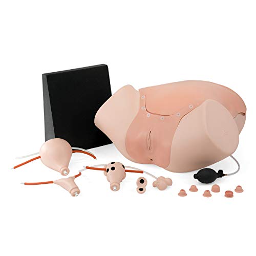 3b-scientific-gyn-kologietrainer-p91-simulator image 7
