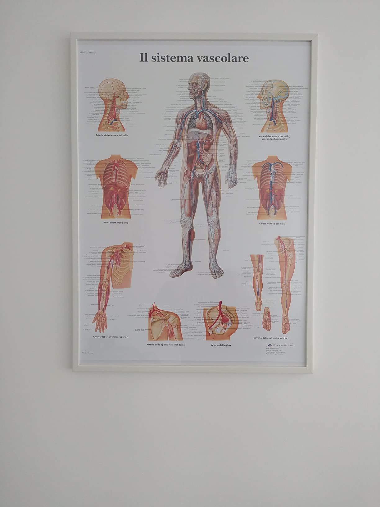 Gute Ergänzung für die Physio-Praxis