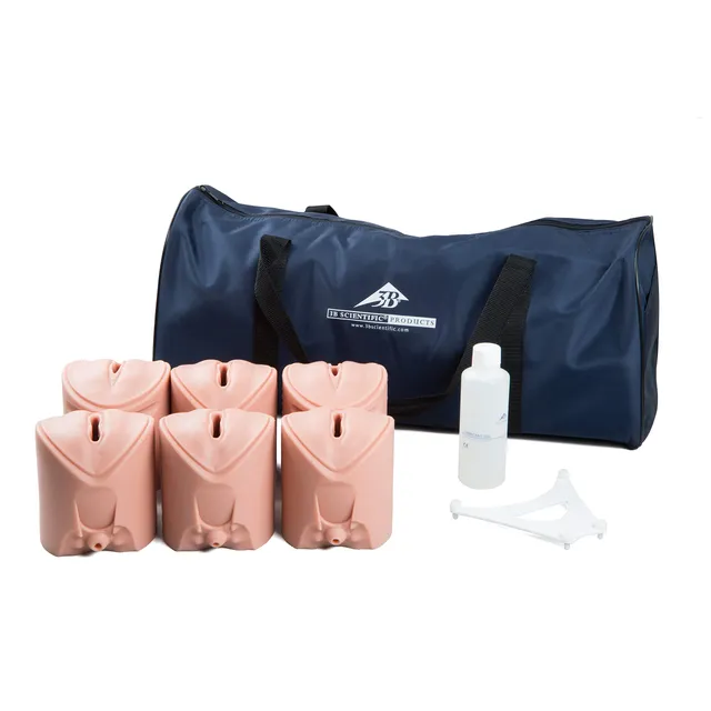 3b-scientific-p94-geburtsstadien-trainer-muttermund-set image 1